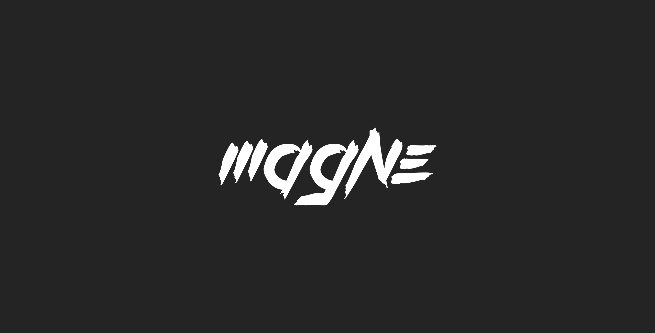 magne sports - projeto de marca