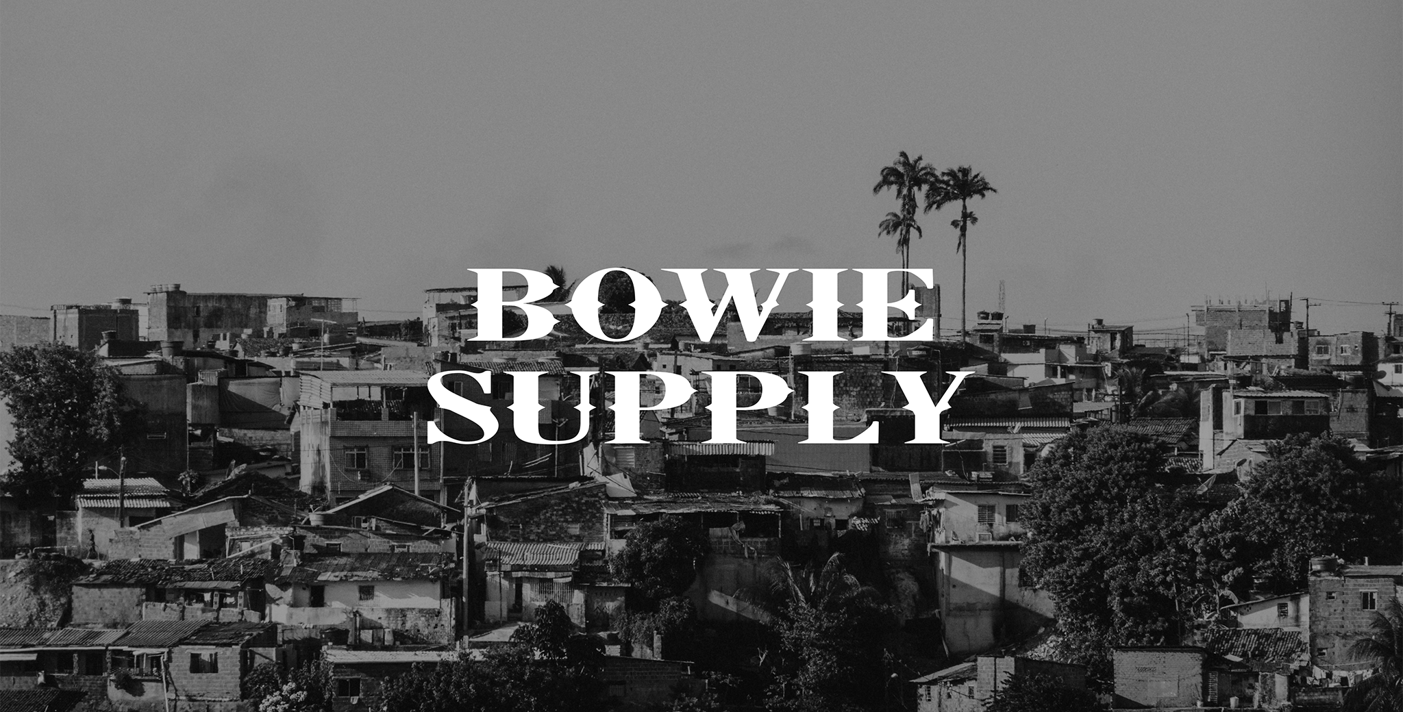 Bowie Supply - design de marca