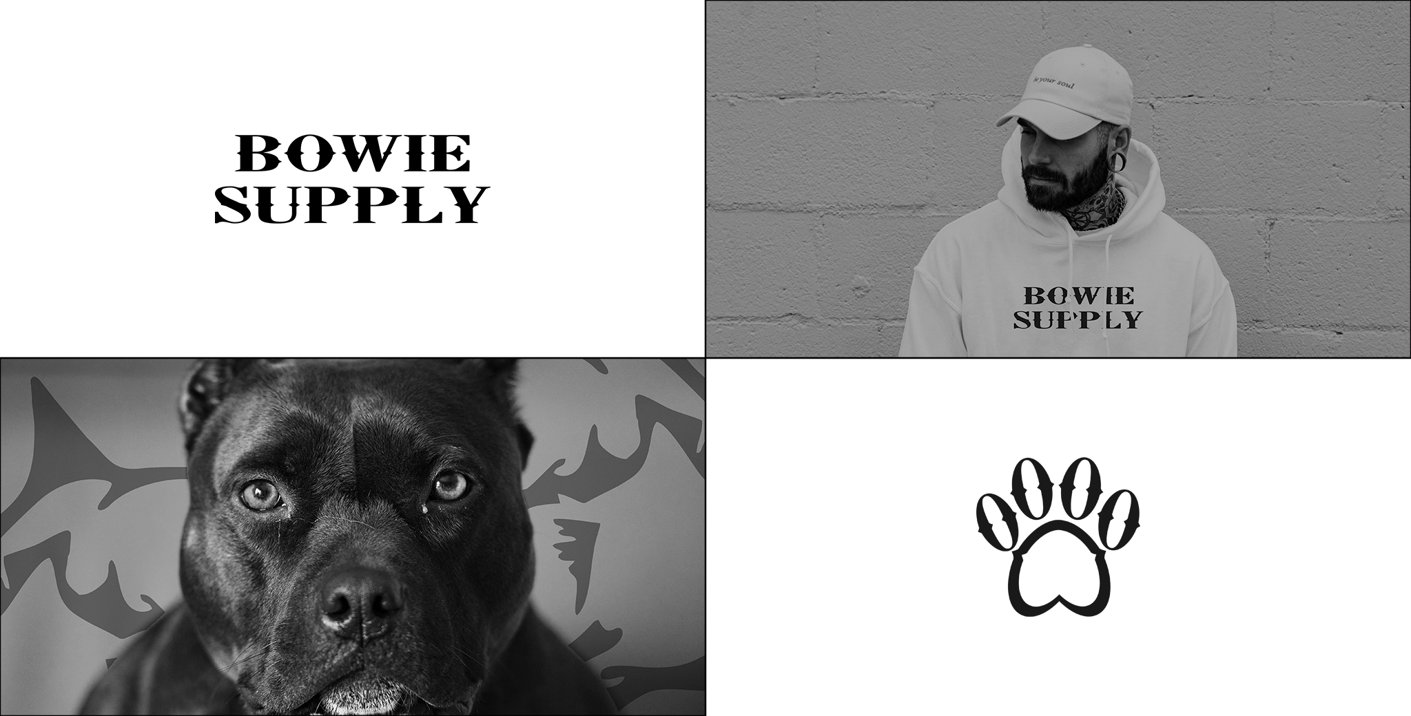 Bowie Supply - design de marca