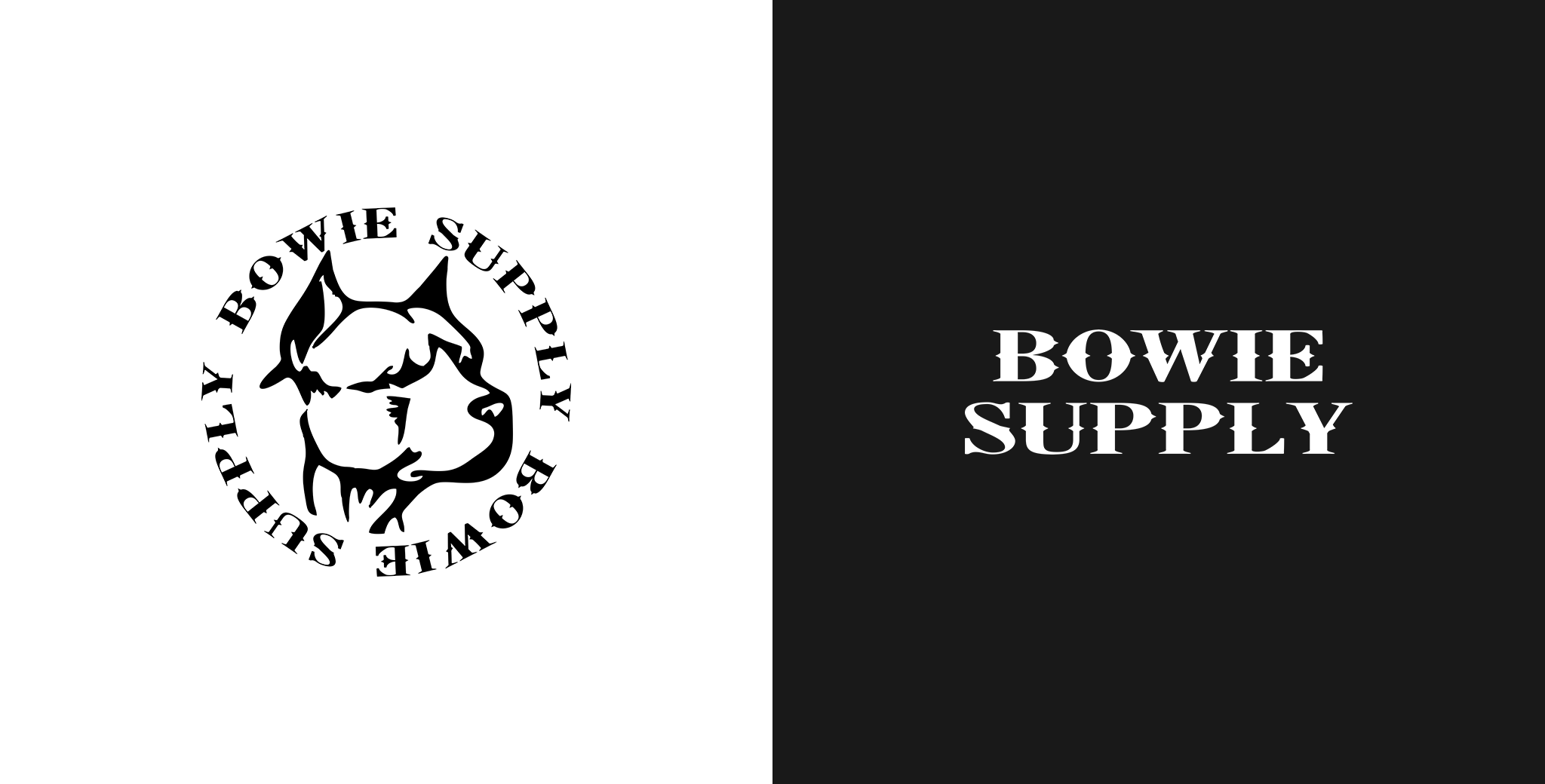 Bowie Supply - design de marca