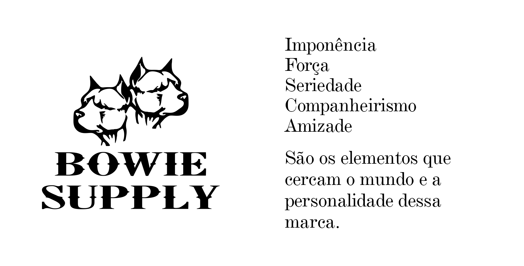 Bowie Supply - design de marca