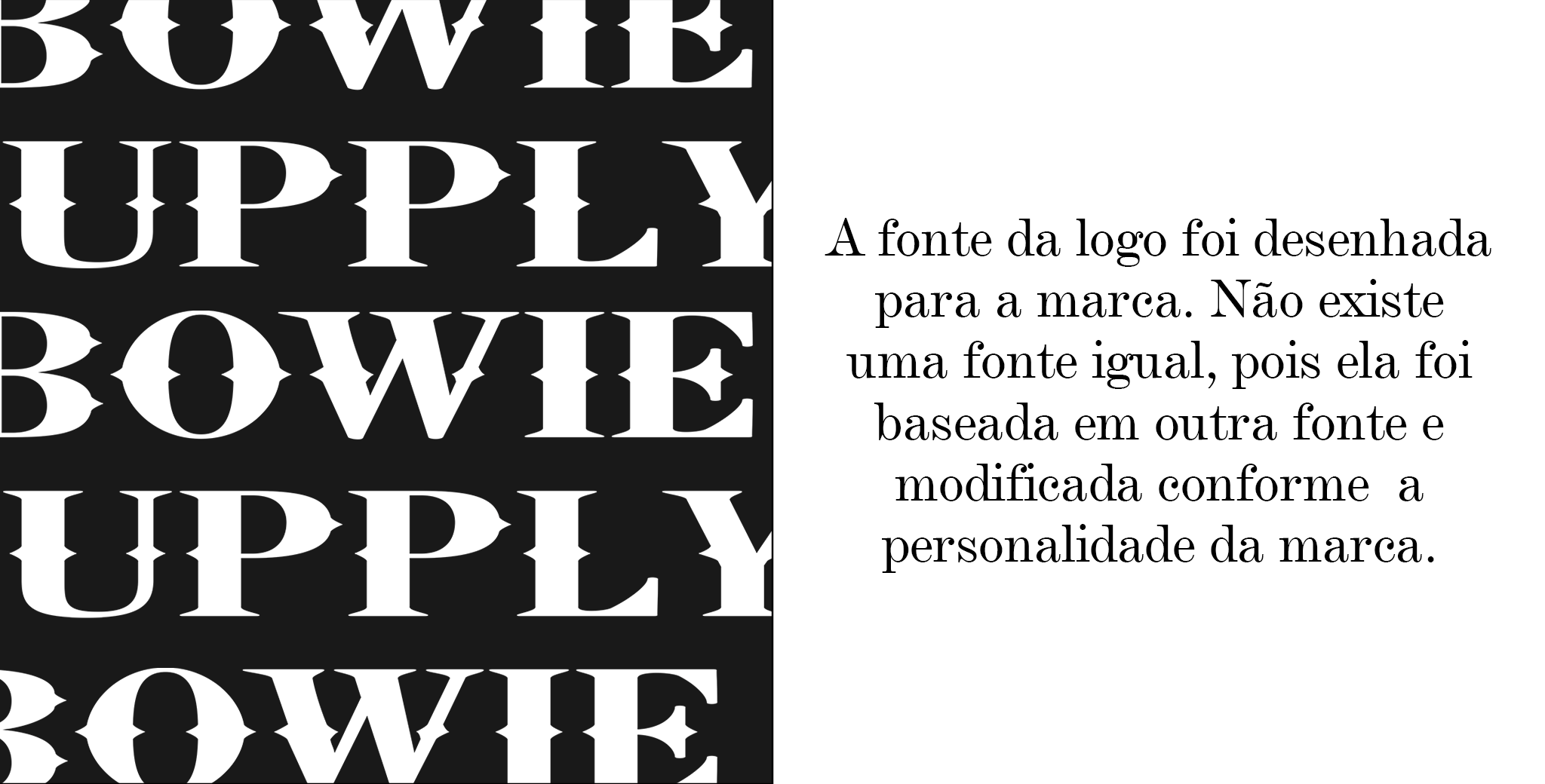 Bowie Supply - design de marca