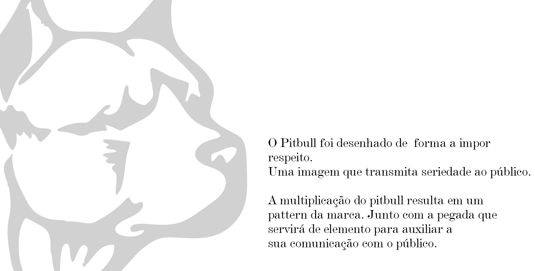 Bowie Supply - design de marca