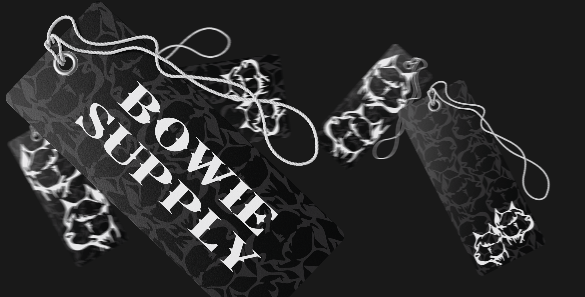 Bowie Supply - design de marca