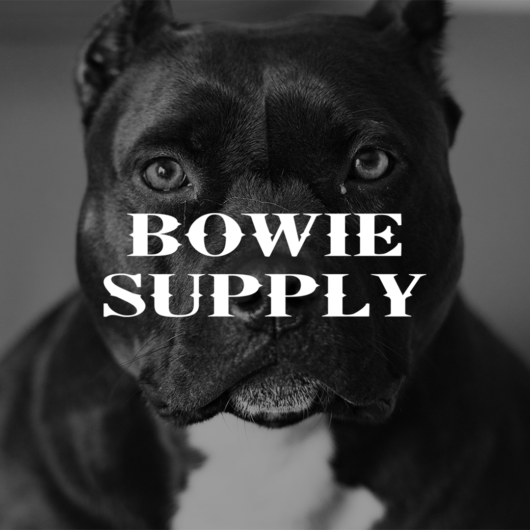 bowie supply najoi design